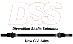 DSS Logo